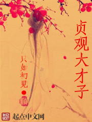  贞观大才子